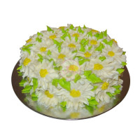 Retail-Products-Cakes-Buttercream-Flowers-Daisies